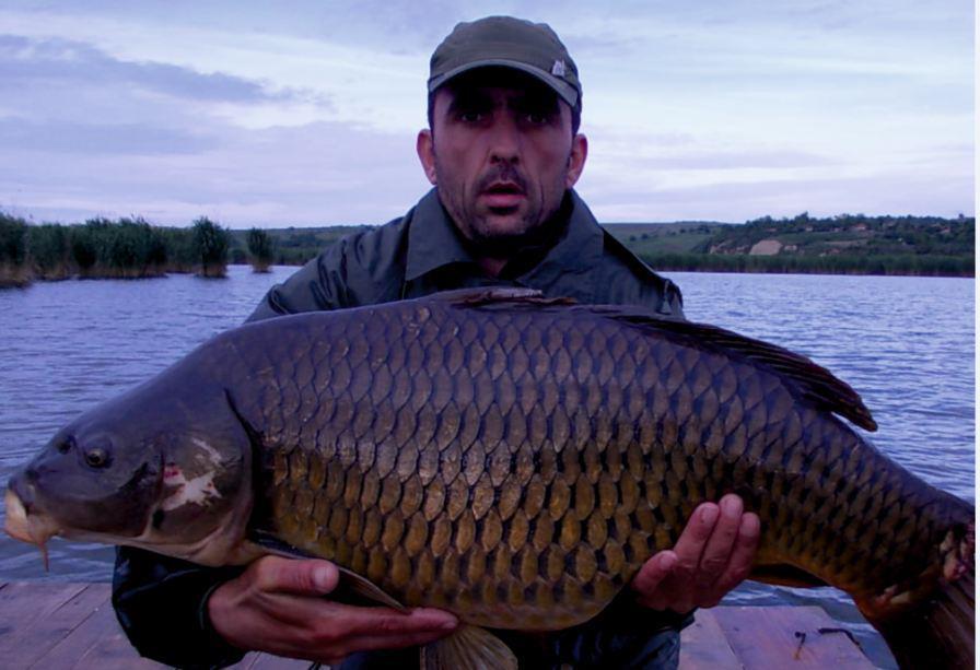 Capturi 2012 - 19,7 kg